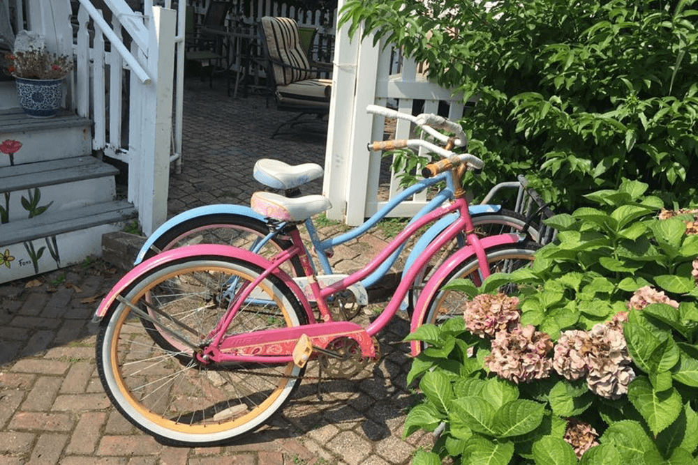 A pink and a blue bicycle are leaning against a green bush in a sunny outdoor setting.