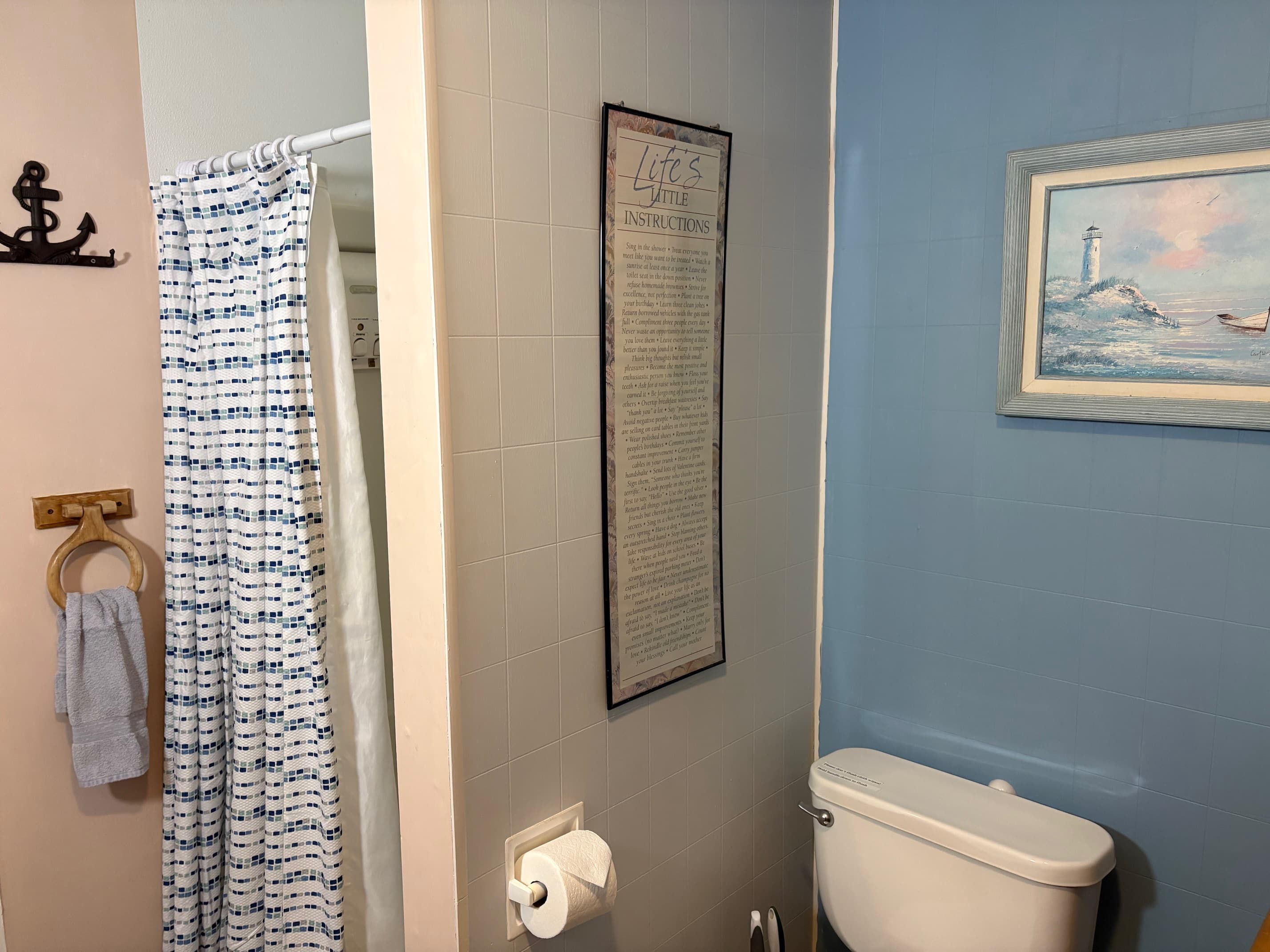 A bathroom scene featuring a shower curtain, a wall-mounted towel holder, a framed decorative picture, and a toilet.